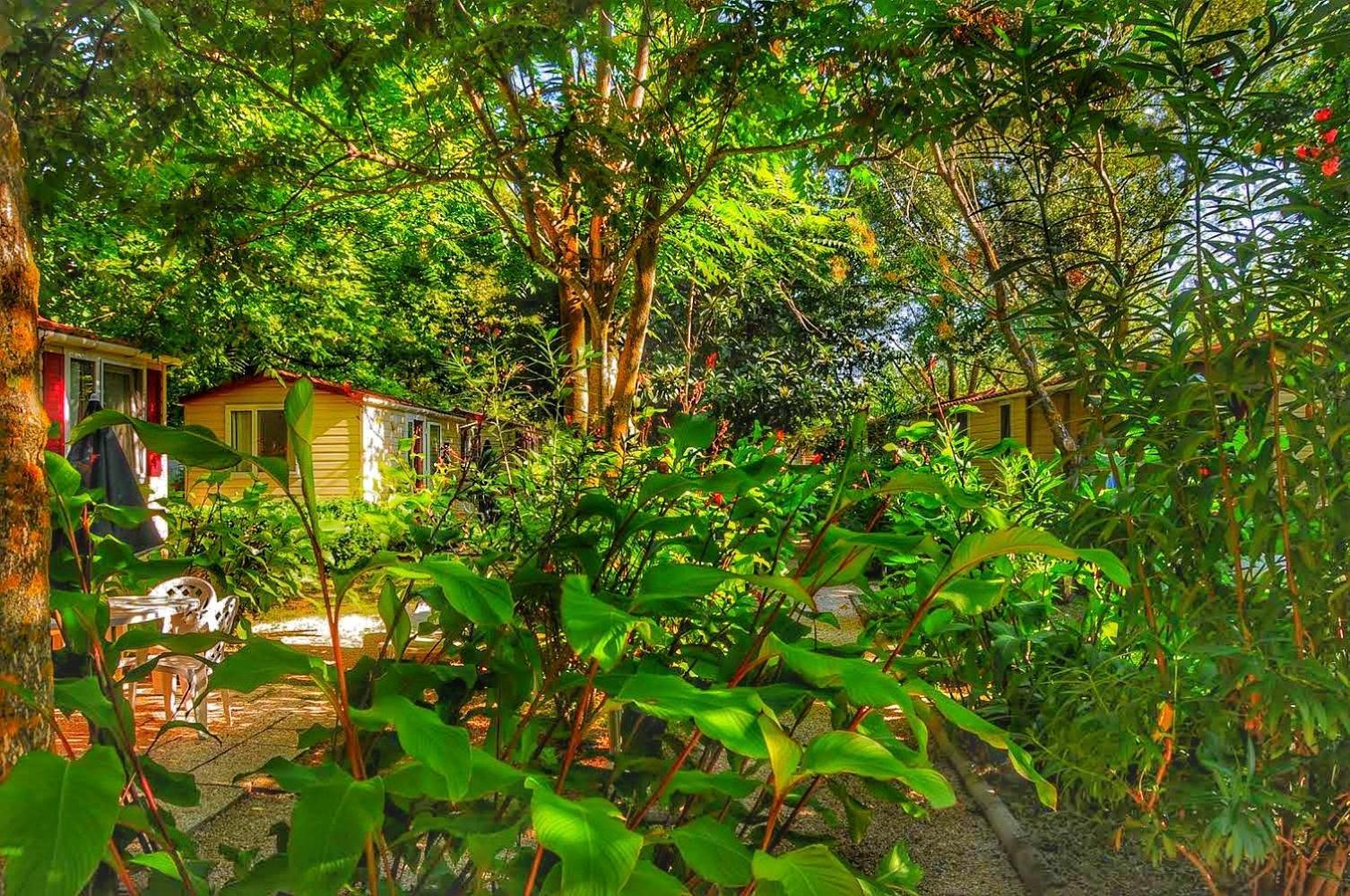 International Glamping Lago Di Bracciano Trevignano Romano Exterior foto