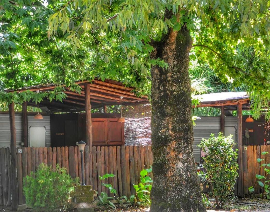 International Glamping Lago Di Bracciano Trevignano Romano Exterior foto