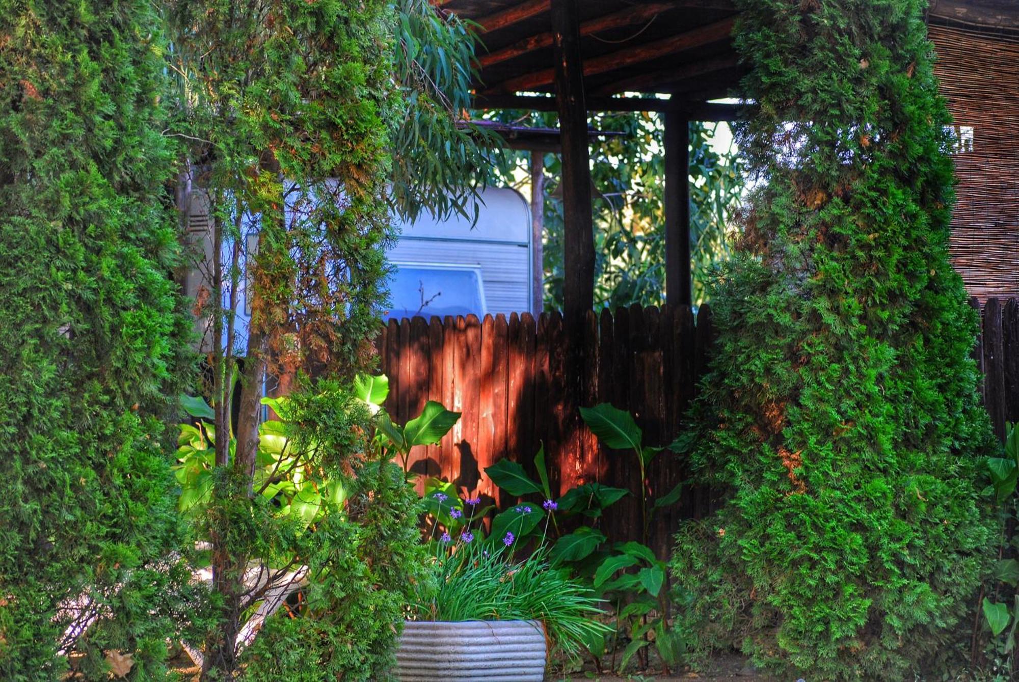 International Glamping Lago Di Bracciano Trevignano Romano Exterior foto